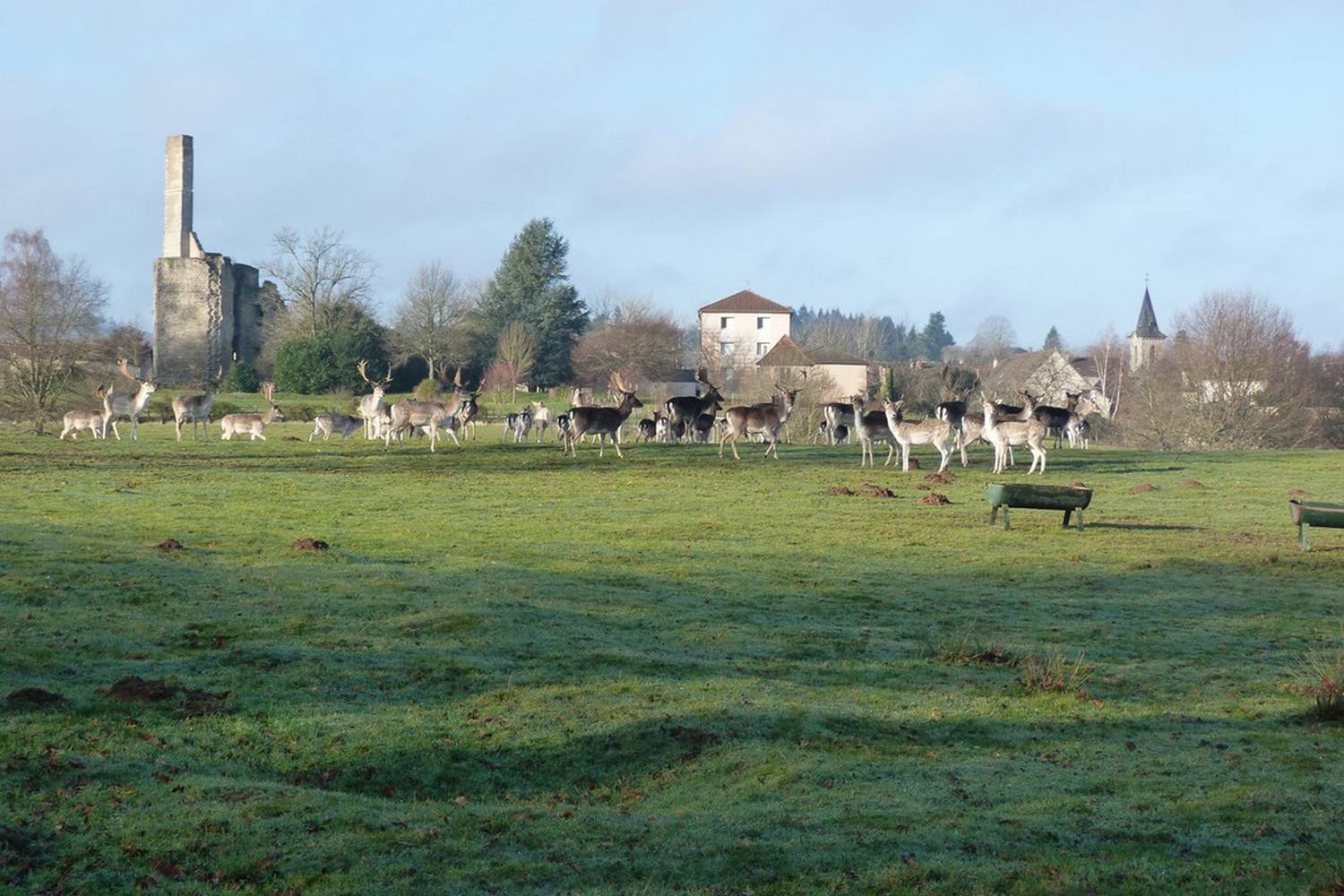 parc à daim